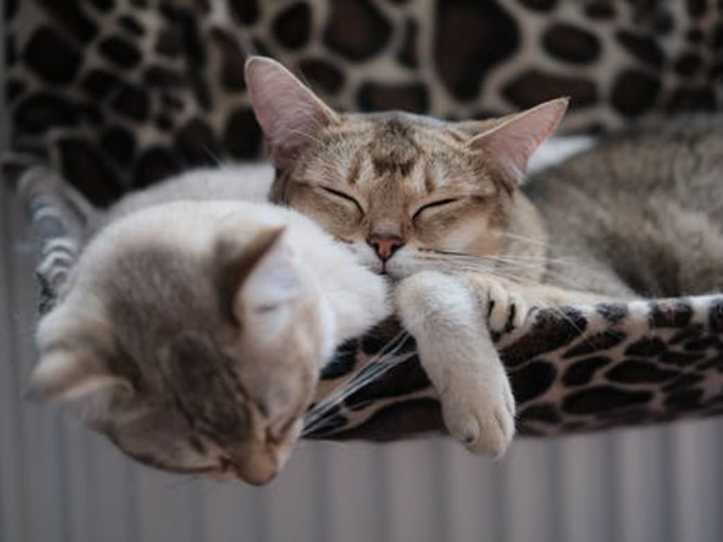 What is NREM sleep?